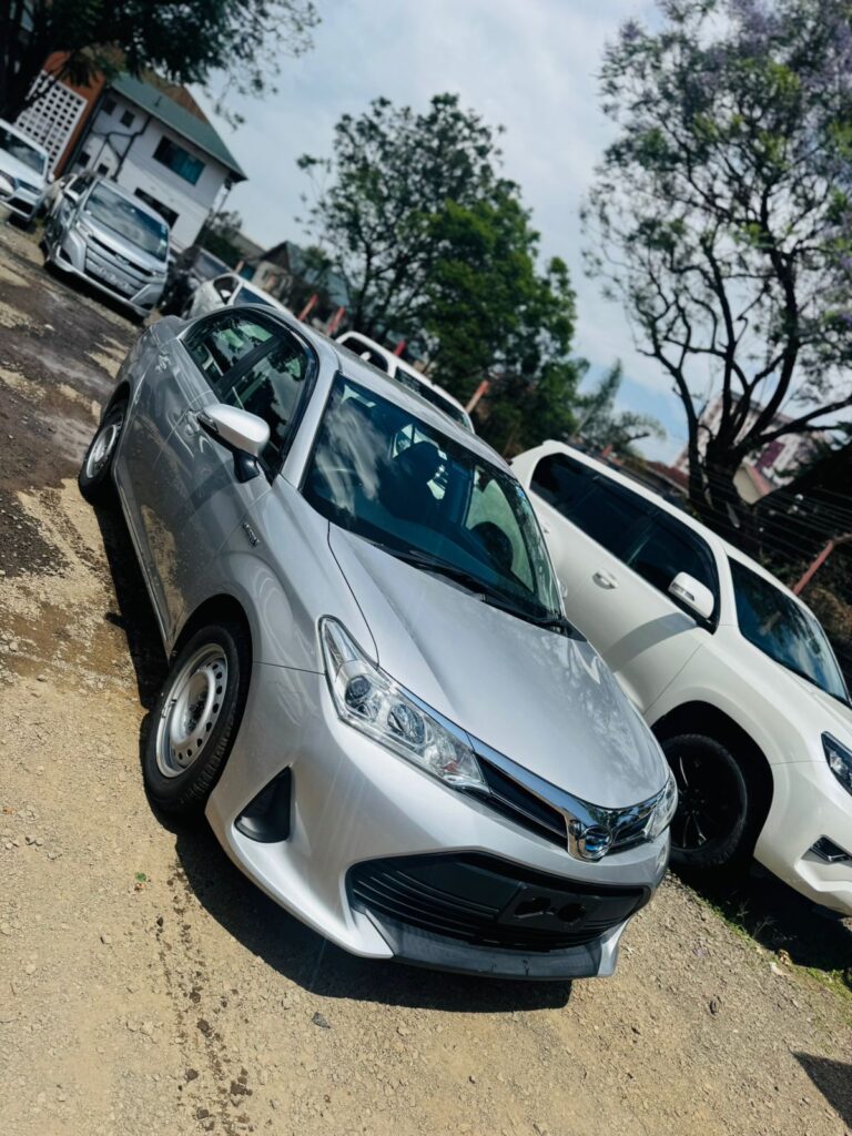 Toyota Axio Hybrid 2018